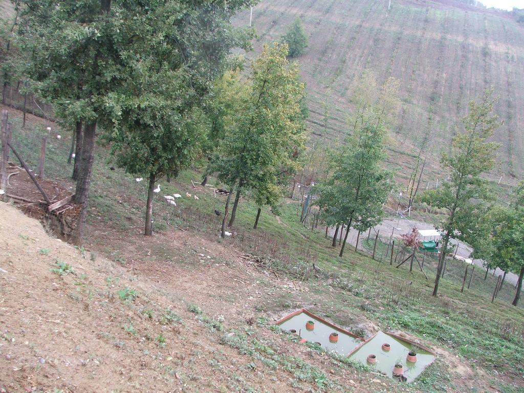 Agriturismo Cascina Aurora Vila Acqui Terme Exterior foto